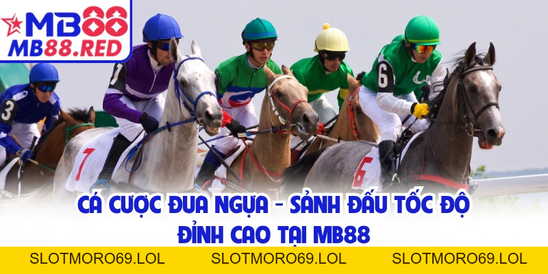 Cá Cược Đua Ngựa - Sảnh Đấu Tốc Độ Đỉnh Cao Tại MB88