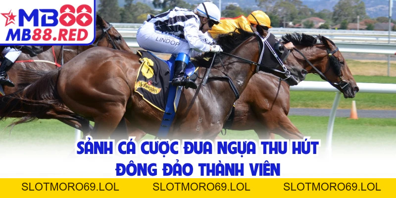 Cá Cược Đua Ngựa - Sảnh Đấu Tốc Độ Đỉnh Cao Tại MB88